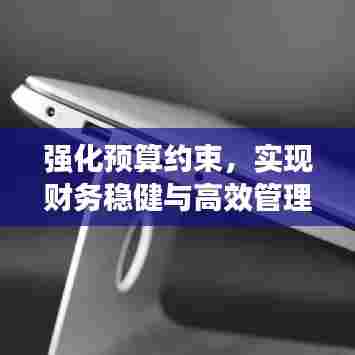强化预算约束,实现财务稳健与高效管理之道