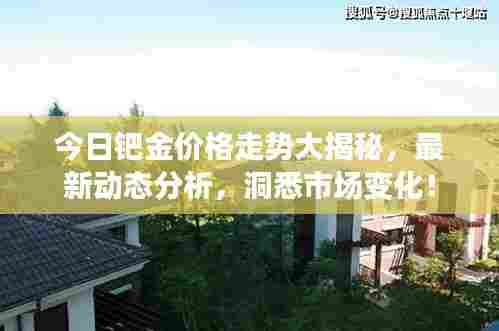 今日钯金价格走势大揭秘,最新动态分析,洞悉市场变化!