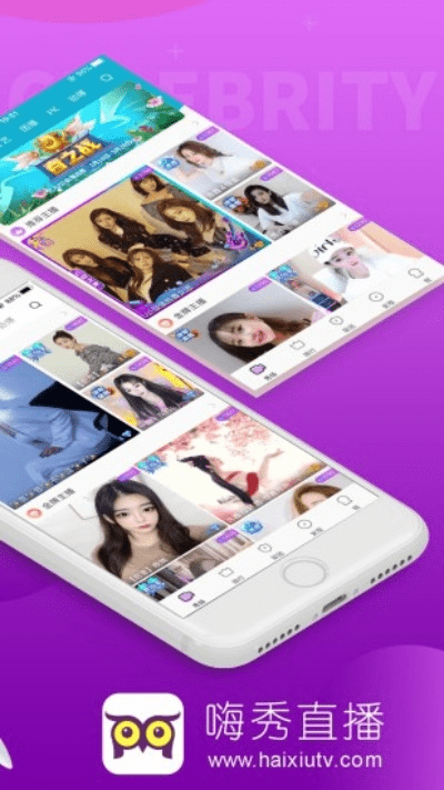 嗨秀秀场旧版本,连贯方法评估&开发版_v9.731