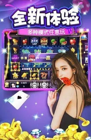 91y游戏中心旧版本,精细评估说明&amp;PalmOS_v2.954