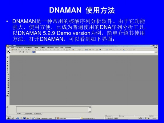 dnaman官方下载,迅速解答问题&amp;XP1_v2.327