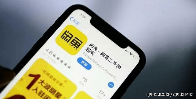 闲鱼历史版本下载,功能详解与规划入门版 v5.780