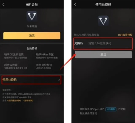 买视频VIP激活码和大话单机版升级攻略软件选择指南