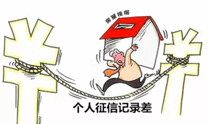 见缝插针官方下载或个人征信版本,整体规划执行讲解|影像版_v1.194