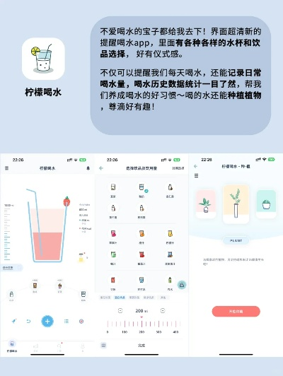 冷门宝藏软件推荐,功能强大,惊喜连连